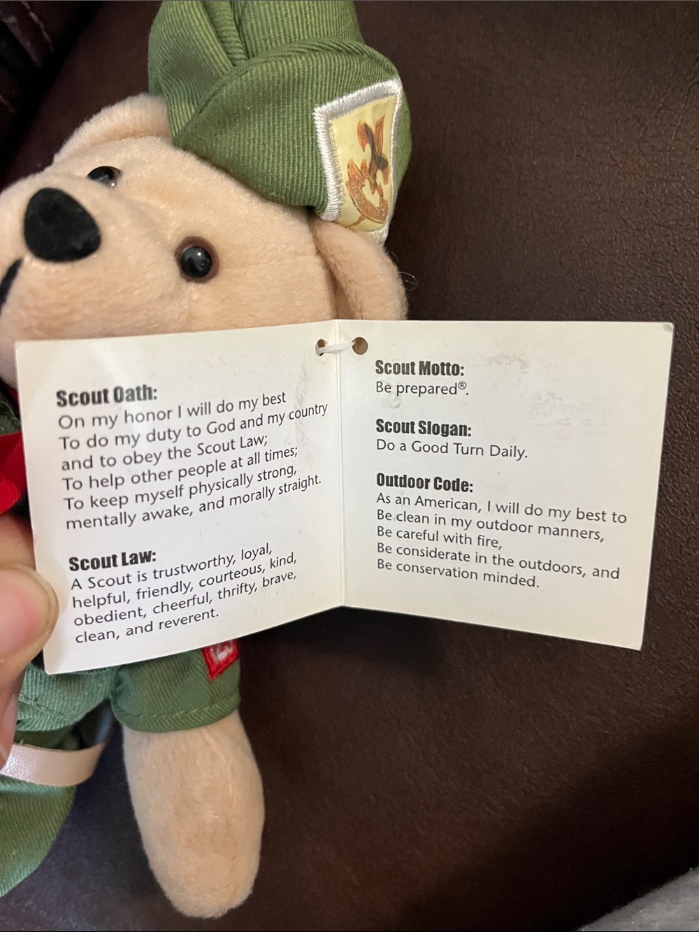 Boy Scouts of America Green Scout Bear Plush Toy - Picture 8 of 10